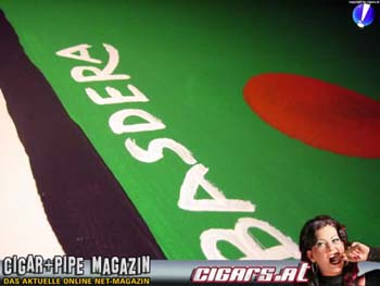 kuehe_in_ottakring_094