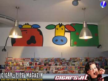 kuehe_in_ottakring_109