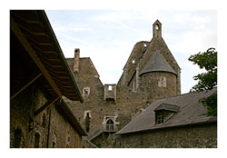 Burgruine Aggstein Aufnahme vom Burghof